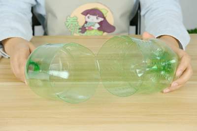 扦插繁殖的方法與容器封口技術(shù)圖解