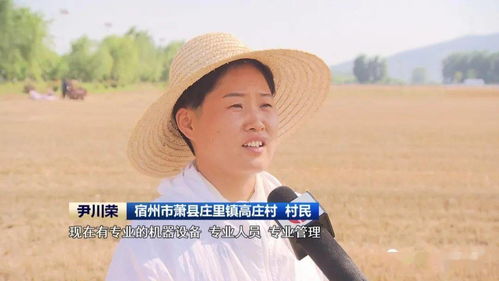 安徽 農(nóng)機(jī)社會化服務(wù)助力夏收提速提質(zhì)，技術(shù)推廣是關(guān)鍵