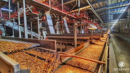 技術(shù)驅(qū)動創(chuàng)新，智慧賦能發(fā)展——云南煙葉復(fù)烤有限責(zé)任公司楚雄復(fù)烤廠2021烤季生產(chǎn)任務(wù)圓滿完成